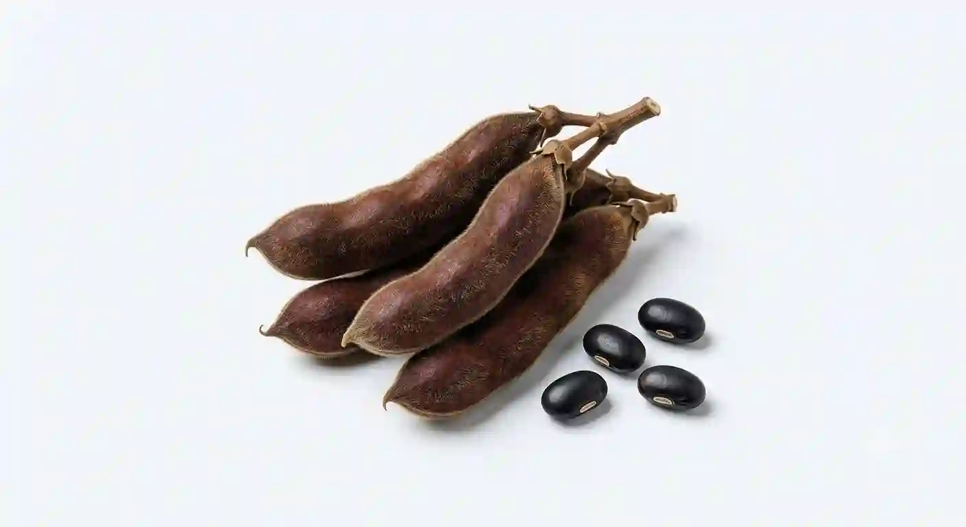 mucuna pruriens